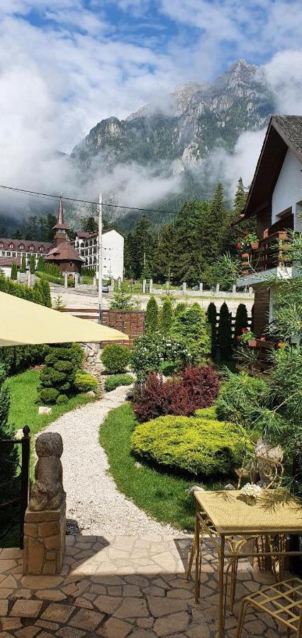 Villa Ermitage Буштени Экстерьер фото